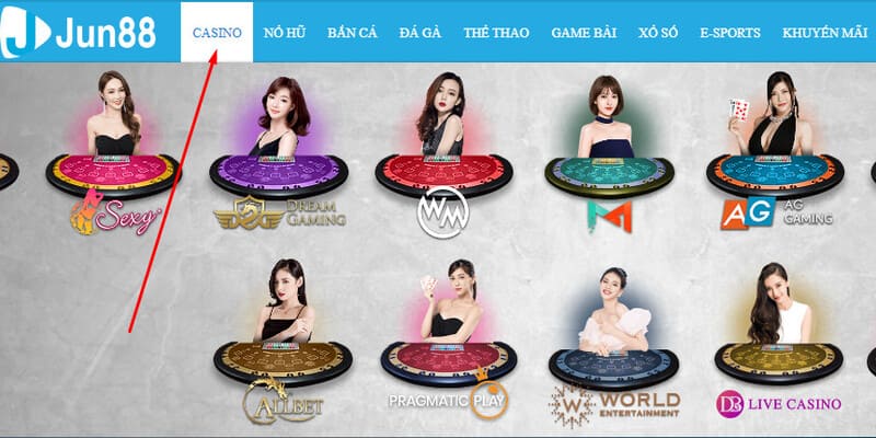 Các trò chơi Casino đa dạng